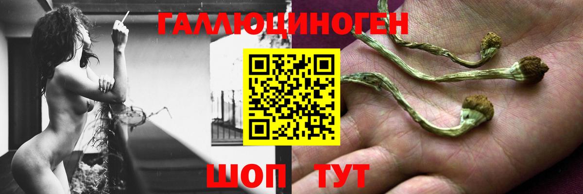 Галлюциногенные грибы MAGIC MUSHROOMS  Вход с VPN  Тосно 